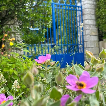 Xxxx * Giverny
